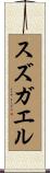 スズガエル Scroll