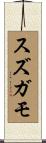 スズガモ Scroll
