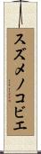 スズメノコビエ Scroll