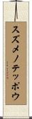 スズメノテッポウ Scroll