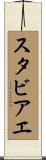 スタビアエ Scroll