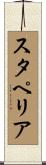 スタペリア Scroll