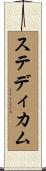 ステディカム Scroll
