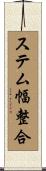 ステム幅整合 Scroll