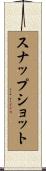 スナップショット Scroll