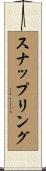 スナップリング Scroll