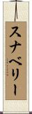 Snavely Scroll