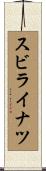 スビライナツ Scroll