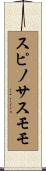 スピノサスモモ Scroll
