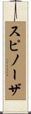 スピノーザ Scroll