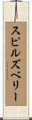 スピルズベリー Scroll