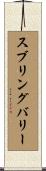 スブリングバリー Scroll