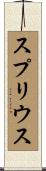 スプリウス Scroll