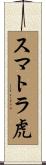 スマトラ虎 Scroll
