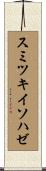 スミツキイソハゼ Scroll