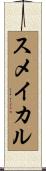スメイカル Scroll