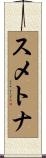 スメトナ Scroll