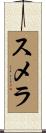 スメラ Scroll