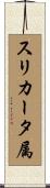 スリカータ属 Scroll