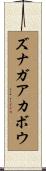ズナガアカボウ Scroll
