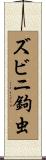 ズビニ鉤虫 Scroll