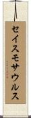 セイスモサウルス Scroll