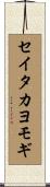 セイタカヨモギ Scroll