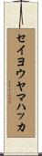 セイヨウヤマハッカ Scroll