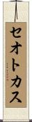 セオトカス Scroll