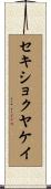 セキショクヤケイ Scroll