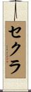 セクラ Scroll