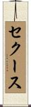 セクース Scroll