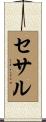 セサル Scroll