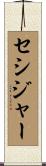 セシジャー Scroll