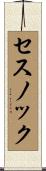 セスノック Scroll