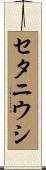 セタニウシ Scroll