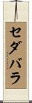 セダバラ Scroll