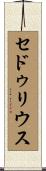 セドゥリウス Scroll