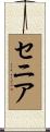 Xenia Scroll