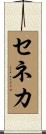 セネカ Scroll