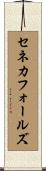 セネカフォールズ Scroll