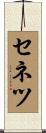 セネツ Scroll