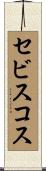 セビスコス Scroll