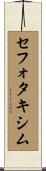 セフォタキシム Scroll
