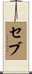 Seve Scroll