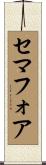 セマフォア Scroll