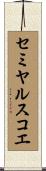 セミヤルスコエ Scroll