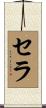 Sela Scroll