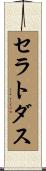 セラトダス Scroll