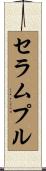 セラムプル Scroll